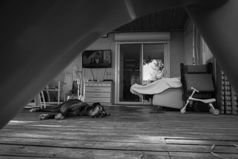 Bruce Melan filming music video for shark samech, using Panasonic gh6, dii ronin rs2,