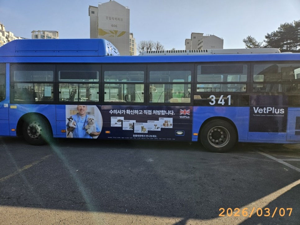 강남권 VetPlus 버스광고 진행 사례