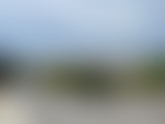 Meet Florence, she’s a beauty