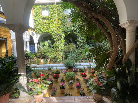 Seville tourist time