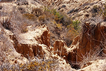 desert-396805_640.jpg