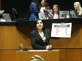 Exige dejar de disfrazar cifras en materia seguridad. Urge la verdad