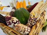 Conservar el maíz nativo es defender la soberanía alimentaria e innovación