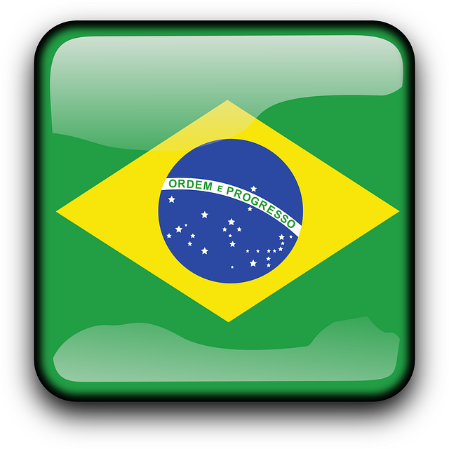 brazil-156205_640.png