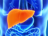 Más de 170 millones de personas portan el Virus de la Hepatitis “C” a nivel mundial, 75% no lo sabe