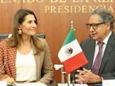Solidaridad de México con Palestina Embajadora visita Senado República