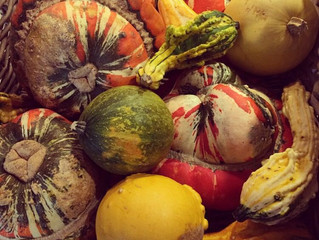 Goodbye Summer, Hello Autumn!