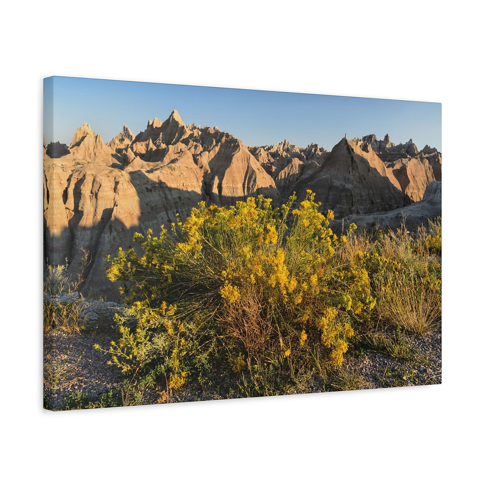 Thumbnail: Badlands Sunrise