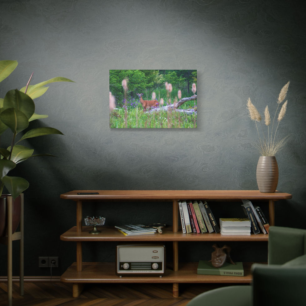 Thumbnail: Maywood Buck
