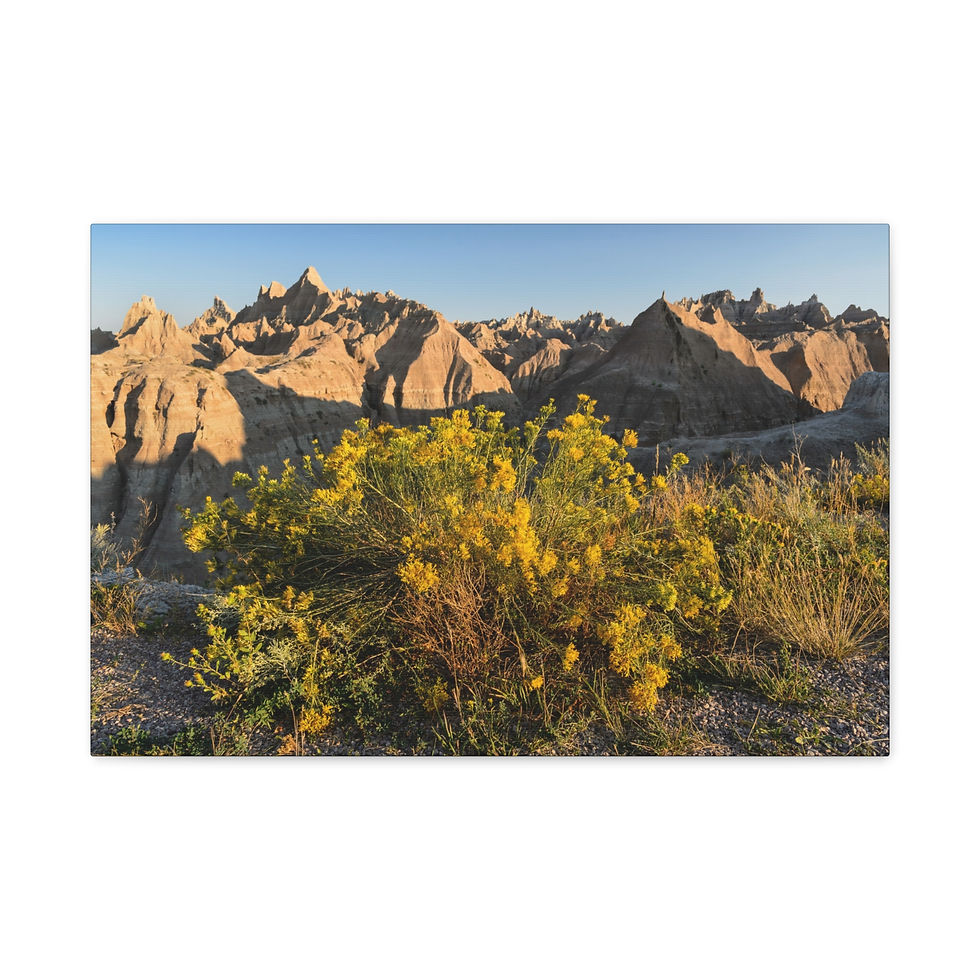 Thumbnail: Badlands Sunrise