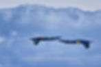 blue angels close cross pass