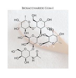 Ingredients Web (27).jpg