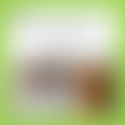 Sample Lesson Plan for teaching kindergarten students using principles from the science of reading