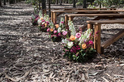 Pew end spring gardens