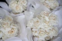 Cream rose brides bouquet
