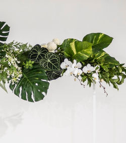 Ceremony arch - tropical & white pop