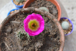 D-GIRA Hostel en JUJUY