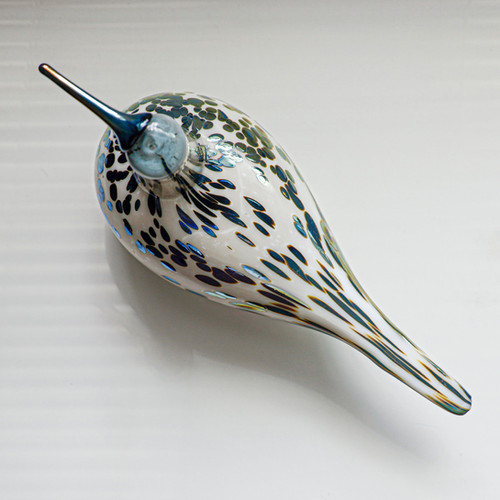 Spotted sandpiper オイバトイッカ イッタラ バード | GlassBirds Online 