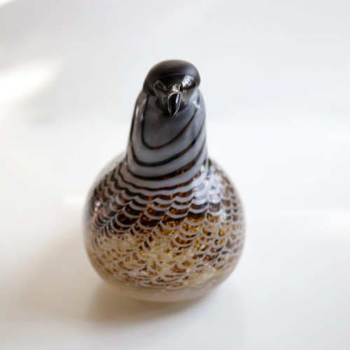 イッタラ　バード　 bird Labbe Labbe Oiva Toikka iittala bird イッタラバード | GlassBirds Online