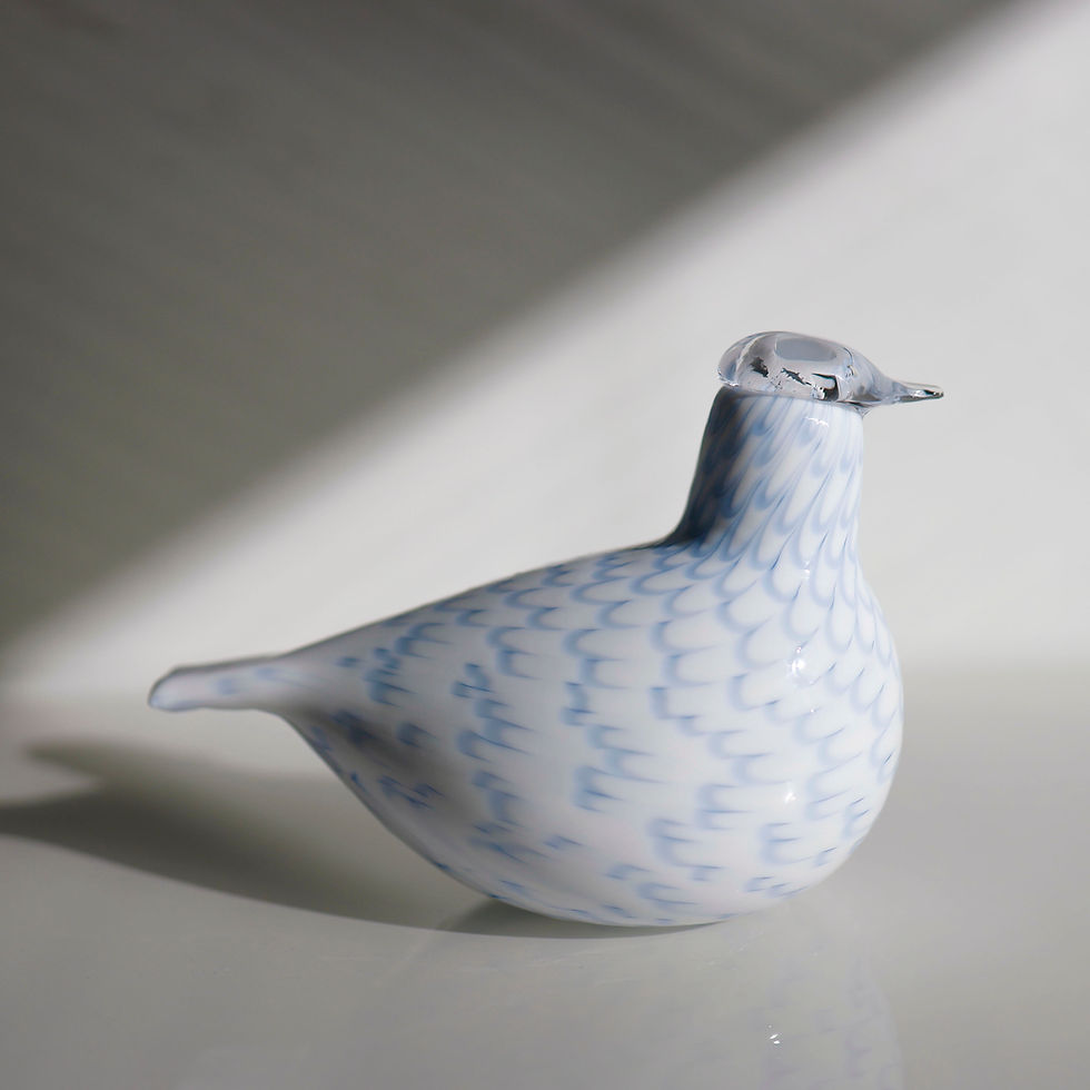 サムネイル： Snow Grouse　オイバトイッカ　イッタラ　バード