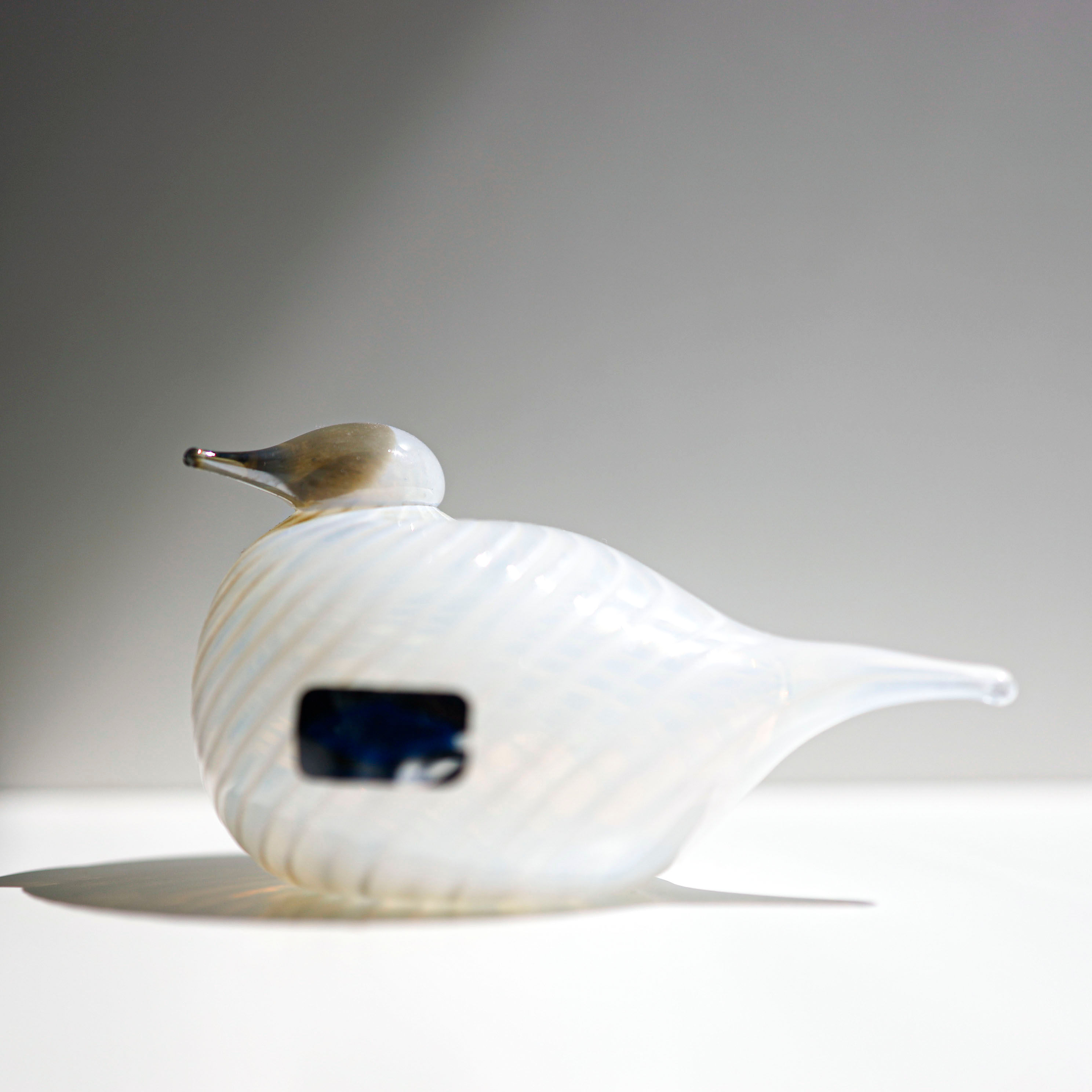 Snow bunting オイバトイッカ イッタラ バード