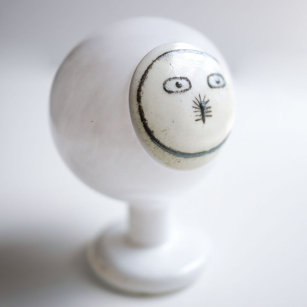 サムネイル： 特定のお客様専用出品　Polar Night Owl　Male