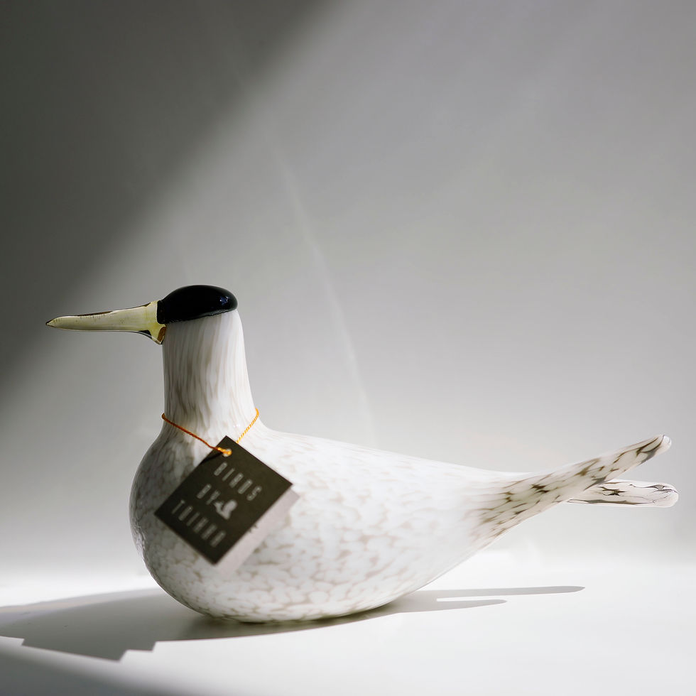 サムネイル： Arctic tern アニュアルバード　2000 イッタラ