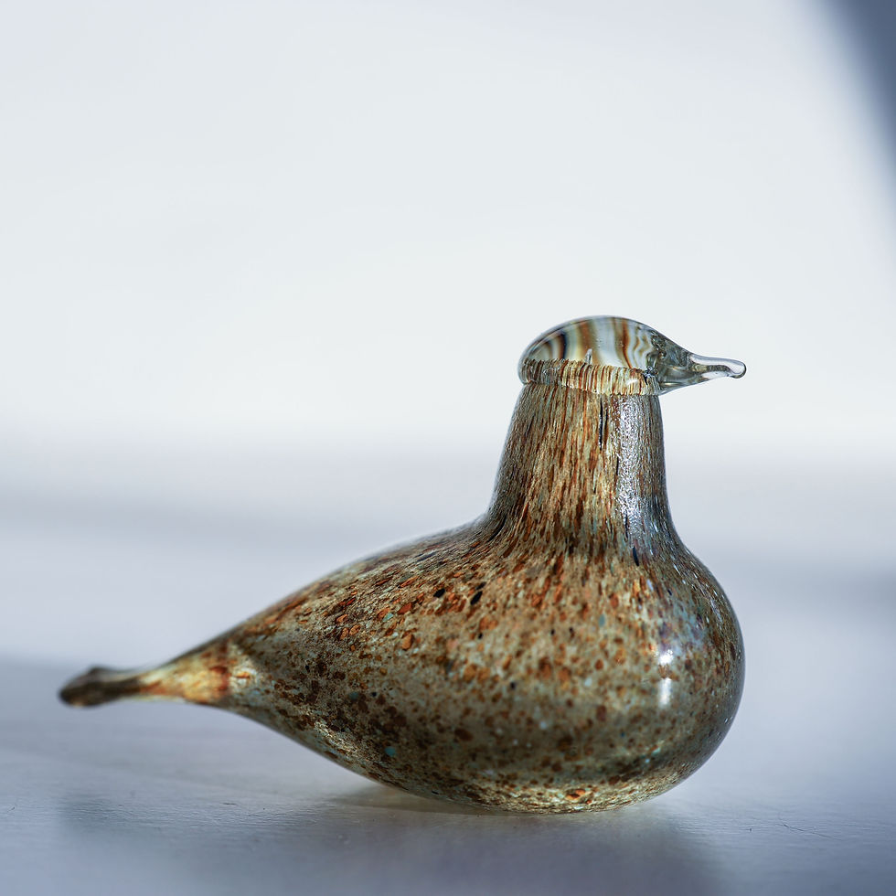 サムネイル： Golden crested kinglet オイバトイッカ　イッタラ　バード
