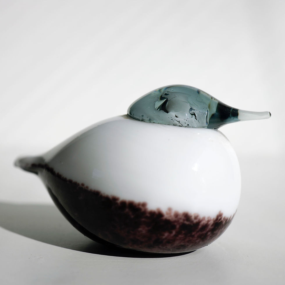 サムネイル： baby smew　オイバトイッカ　イッタラ　バード