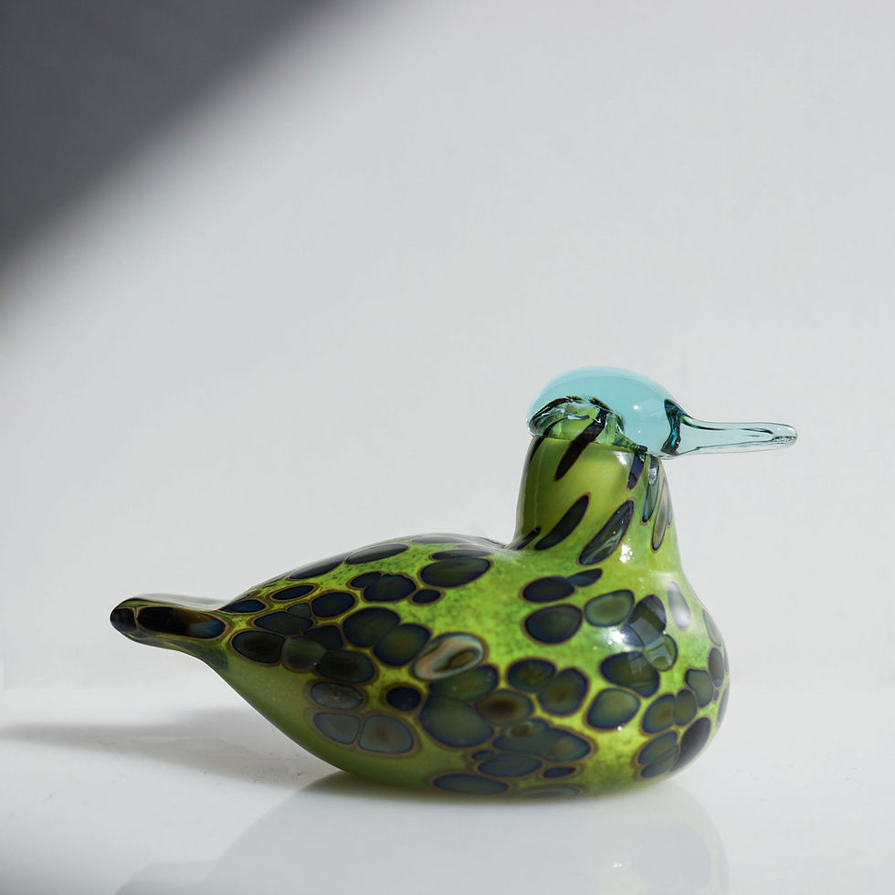 サムネイル： Baby Common Teal オイバトイッカ　イッタラ　バード