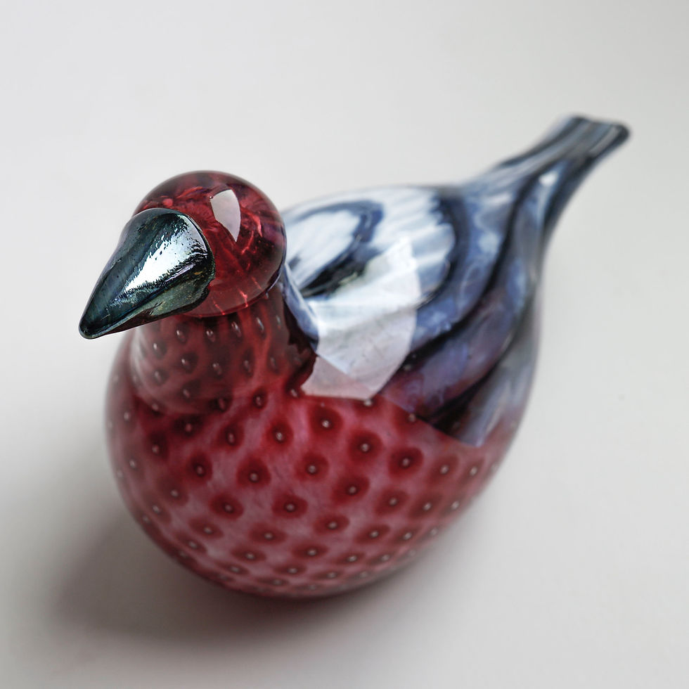 サムネイル： Common　Redpoll　オイバトイッカ　イッタラ　バード