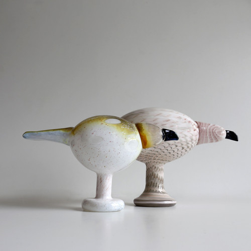 pale male イッタラ バード アメリカ限定1000体 オイバトイッカ