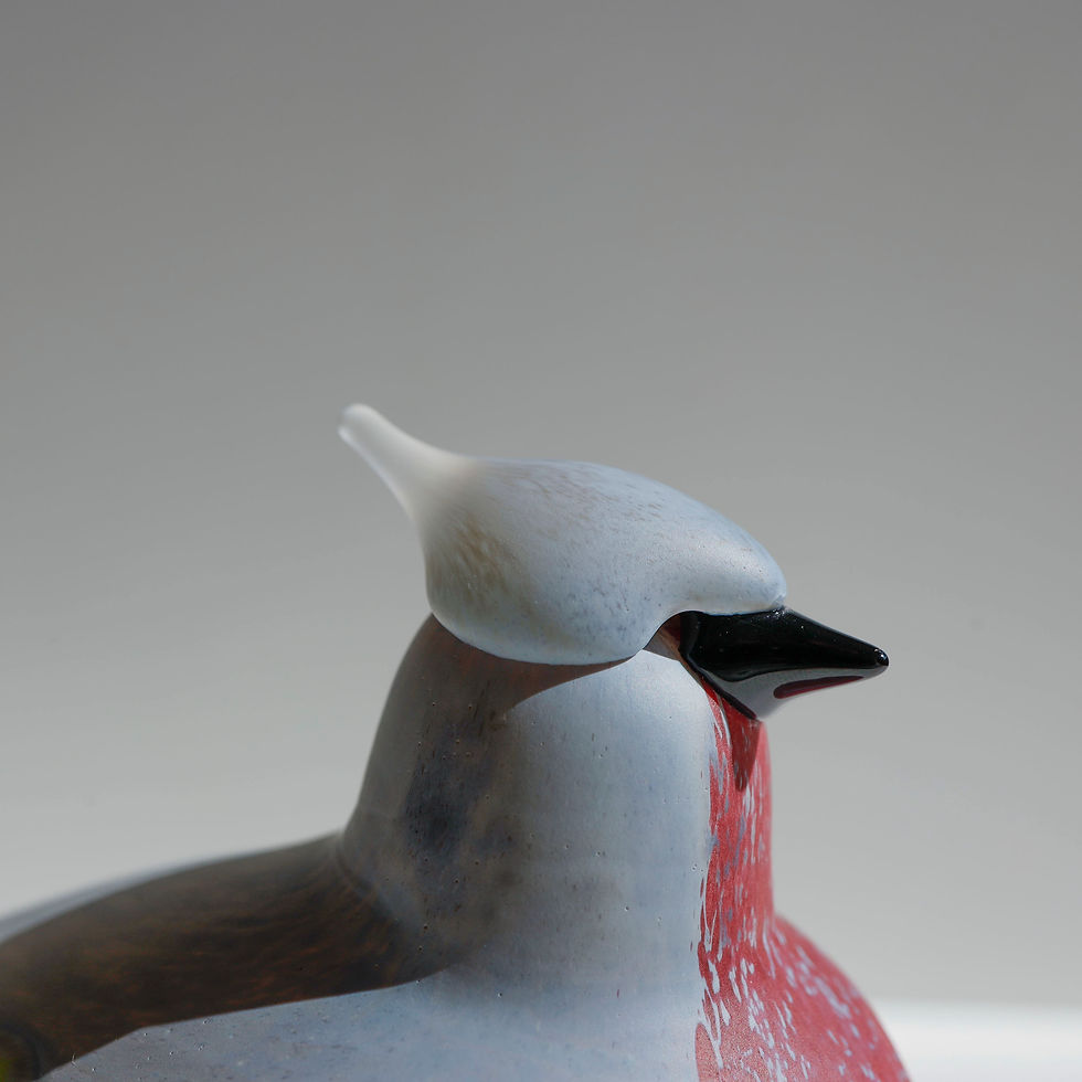 サムネイル： Northern Waxwing オイバトイッカ　イッタラ　バード