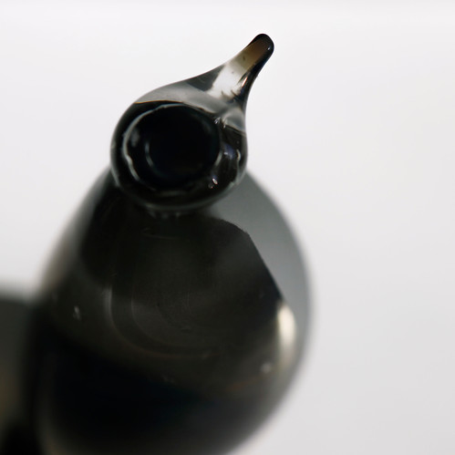 シルバーペンギン フロスト オイバトイッカ イッタラ バード