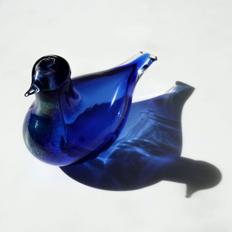 サムネイル： Blue Bird 1996 オイバトイッカ　イッタラ　バード