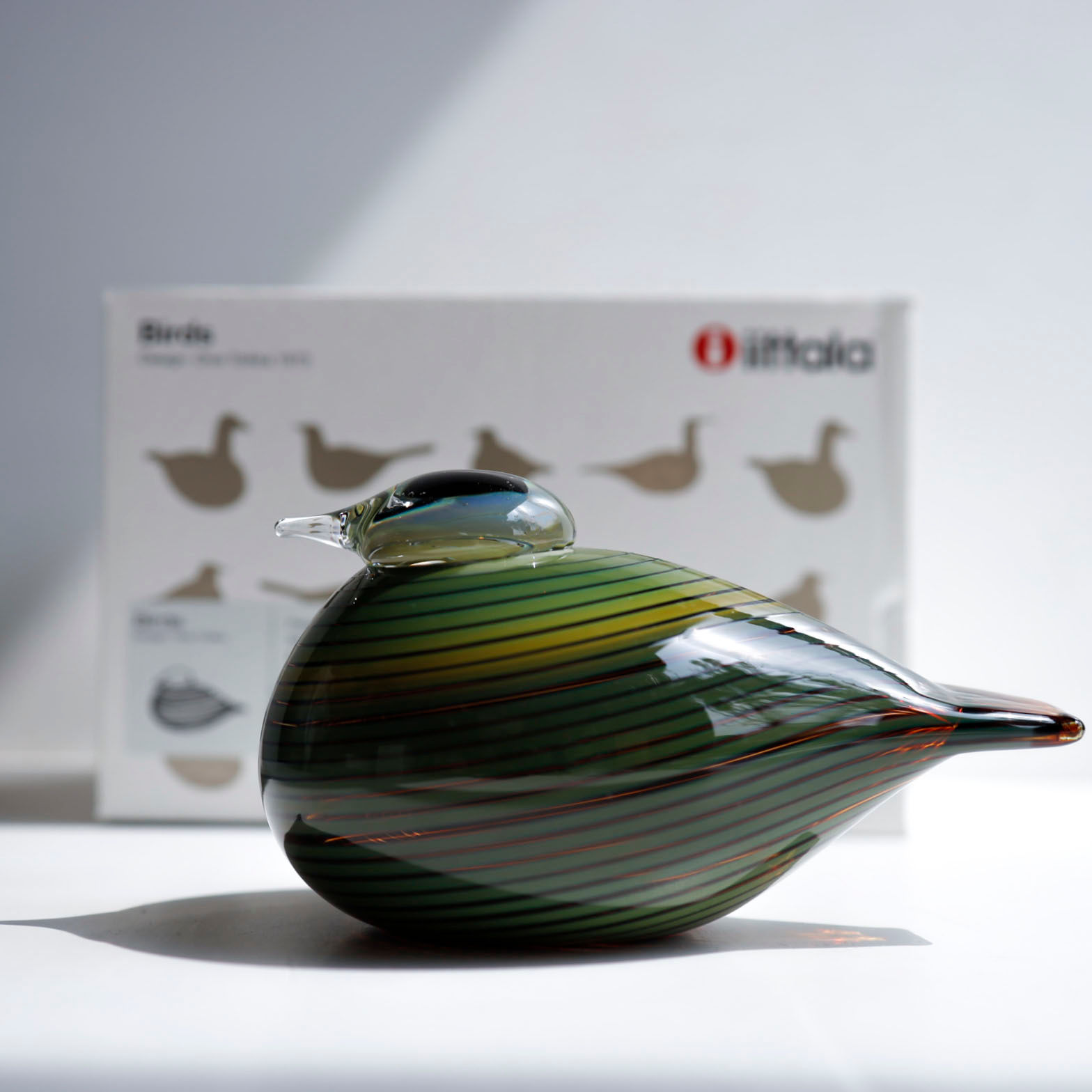 Whip poor will イッタラ バード オイバトイッカ