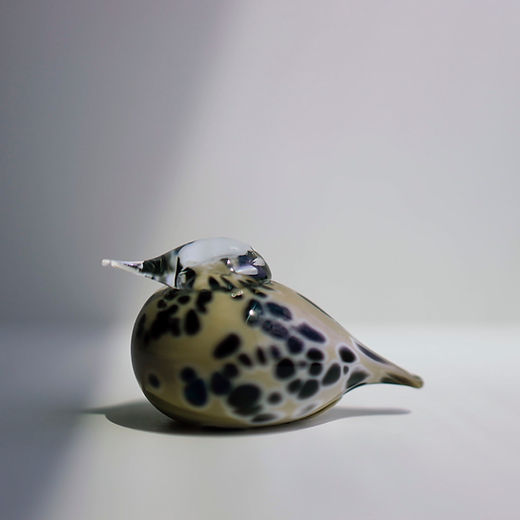Top Page | GlassBirds Online