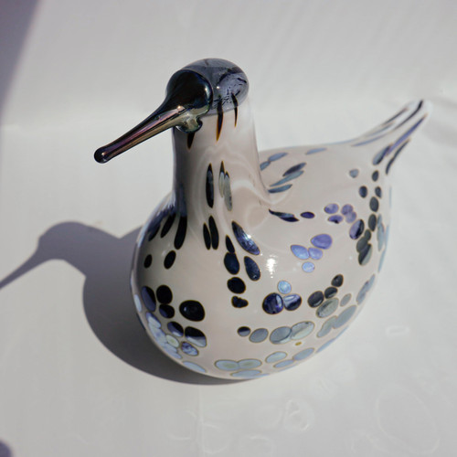 Spotted sand piper オイバトイッカ イッタラ バード | GlassBirds Online
