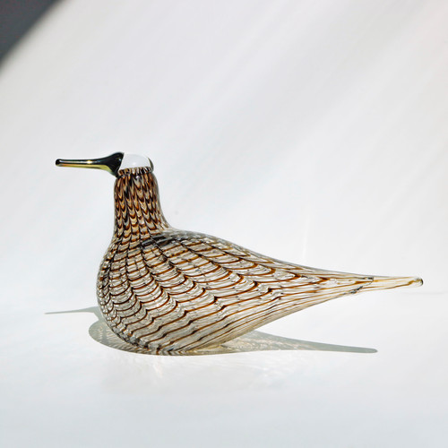 Kuiri SPOV オイバトイッカ　イッタラ　バード file.jpg