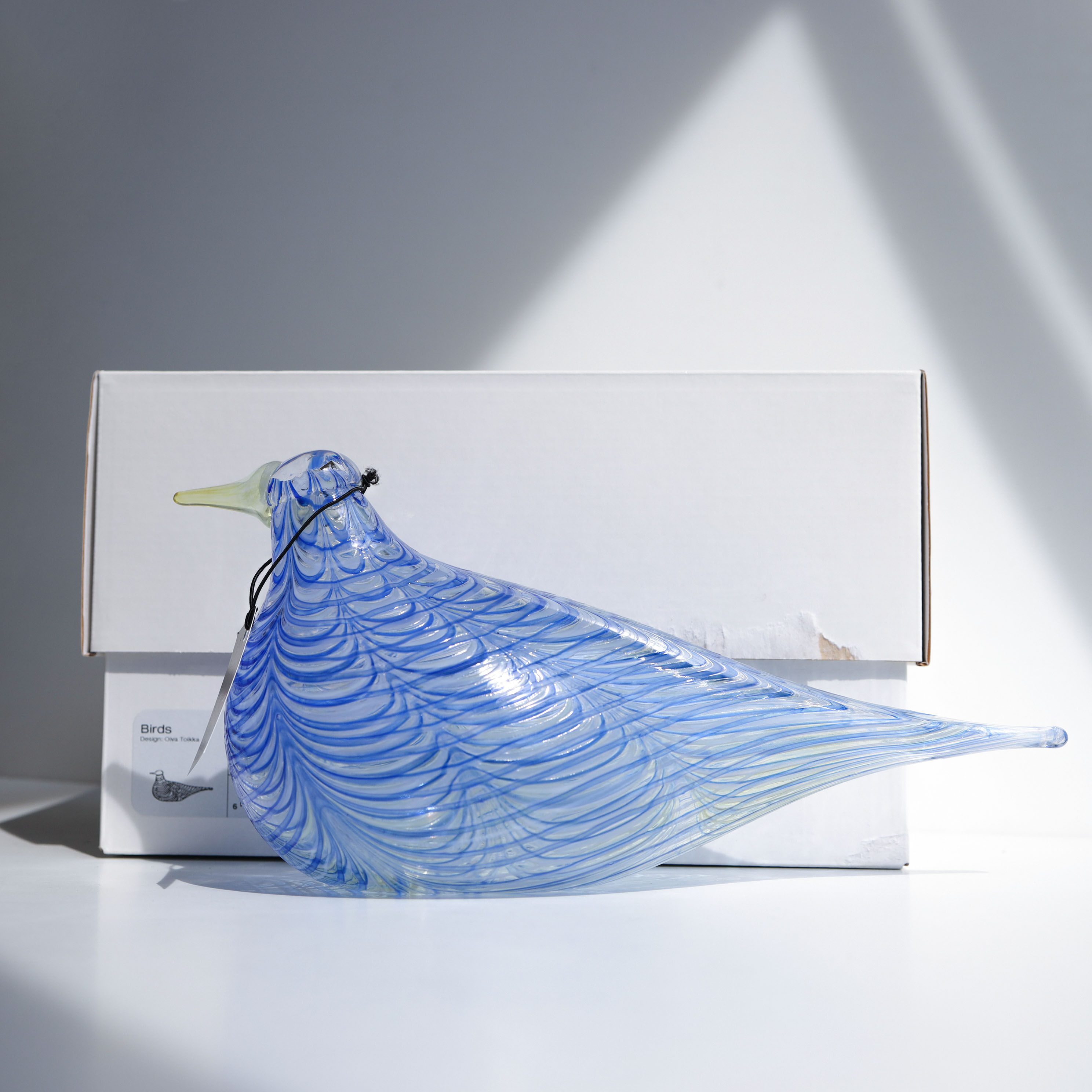 2007アニュアル バードCloud tern オイバトイッカ