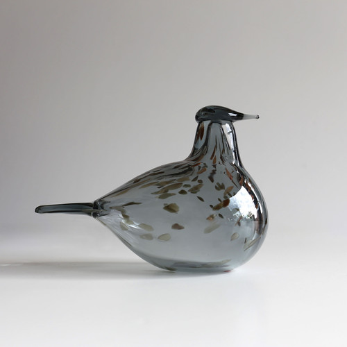 Oiva Toikka Grey Dove イッタラ バード | GlassBirds Online