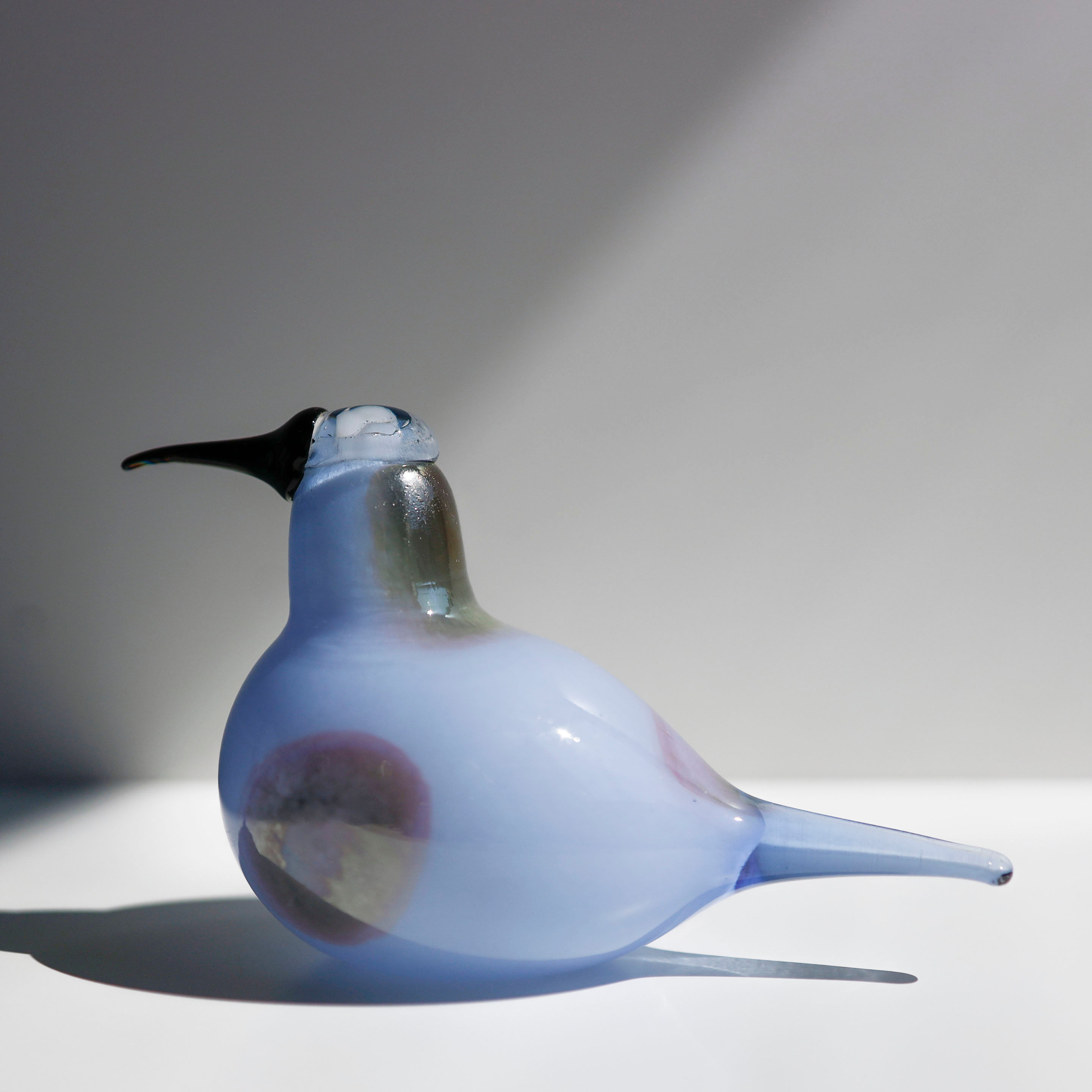 Sky curlew オイバトイッカ　イッタラ　バード