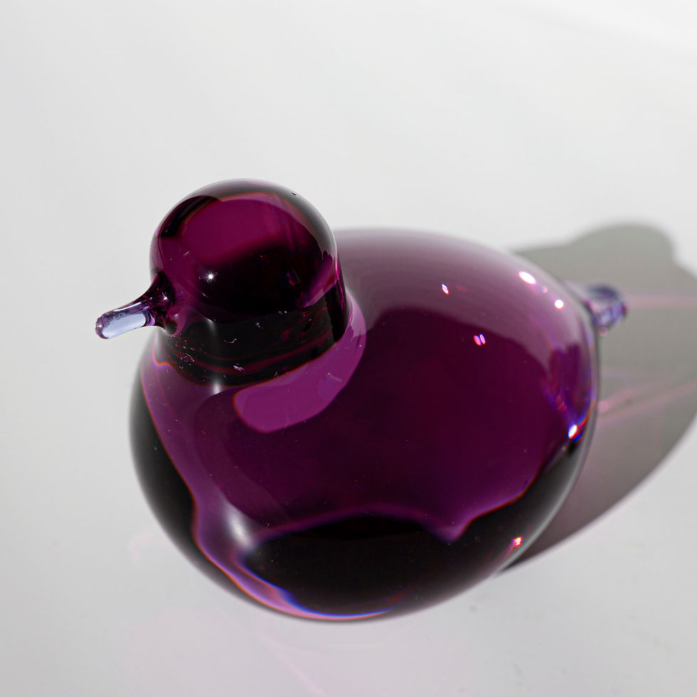 サムネイル： Purple pulmu snow bunting オイバトイッカ　イッタラ　バード