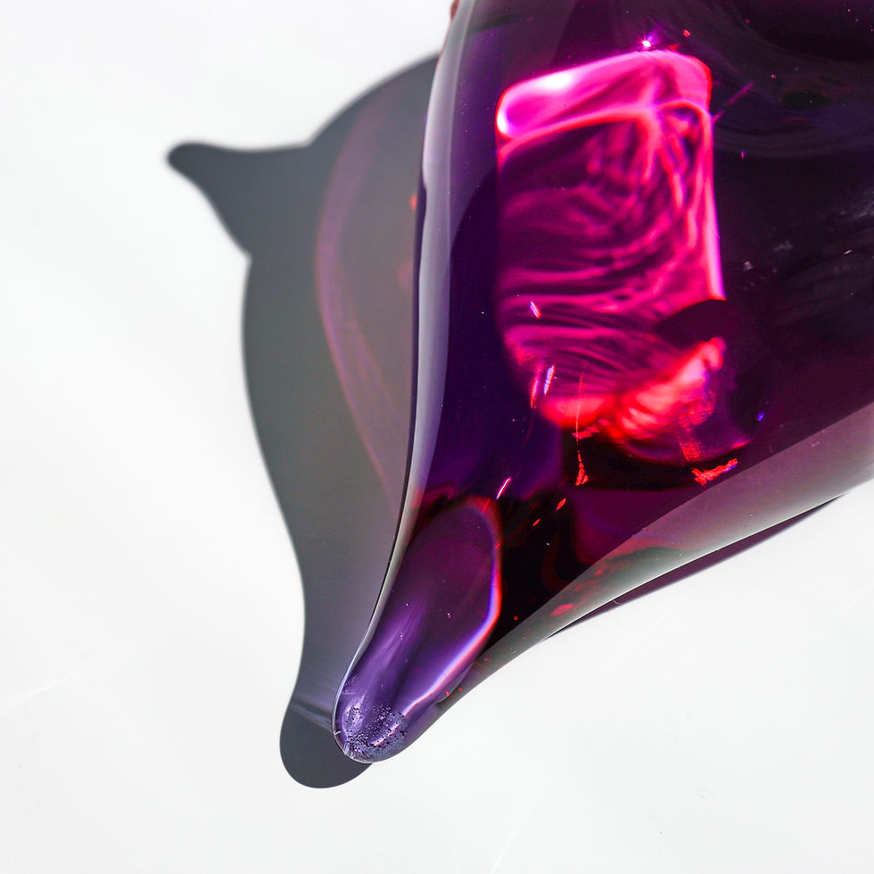 サムネイル： Purple Snipe　オイバトイッカ　イッタラ　バード