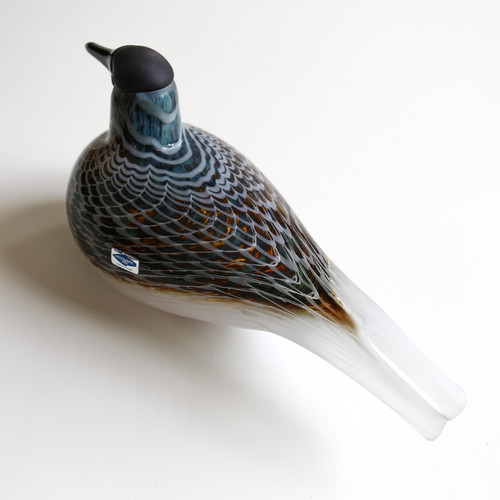 Labbe 特別バージョン イッタラバード オイバトイッカ 【公式通販】