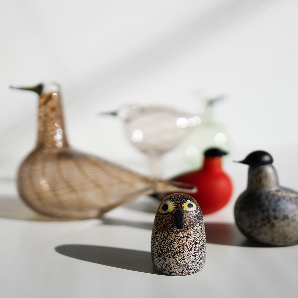 サムネイル： Tylli Ringed Plover　Oiva toikka　オイバトイッカ