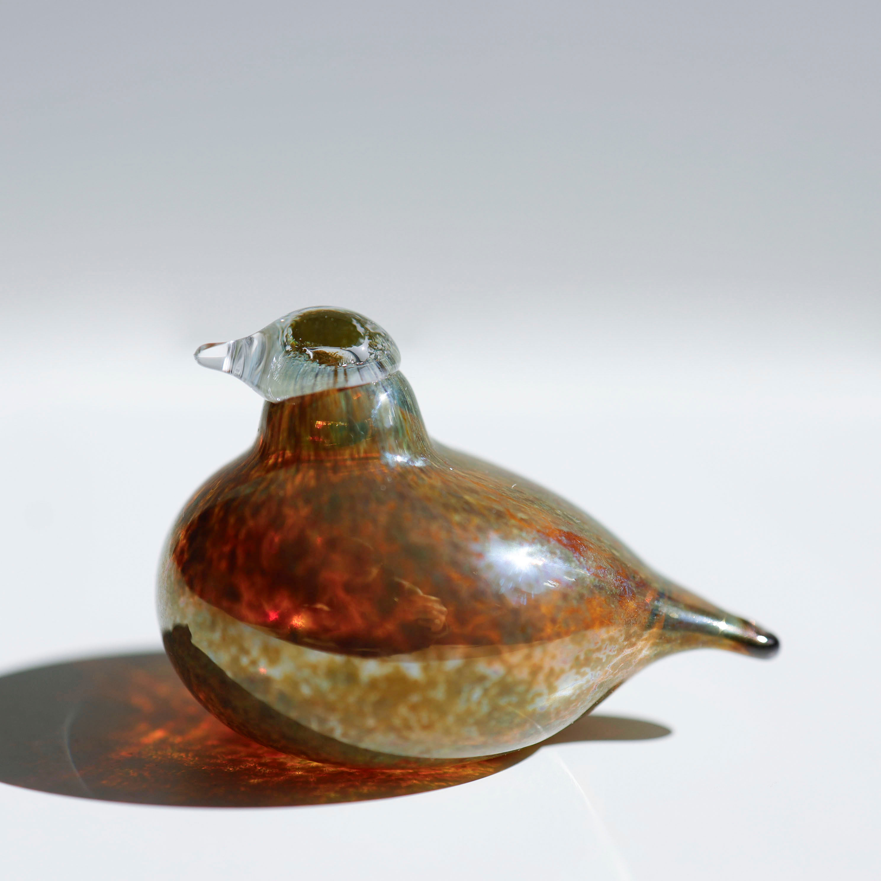 Golden Crested Kinglet オイバトイッカ　イッタラバード