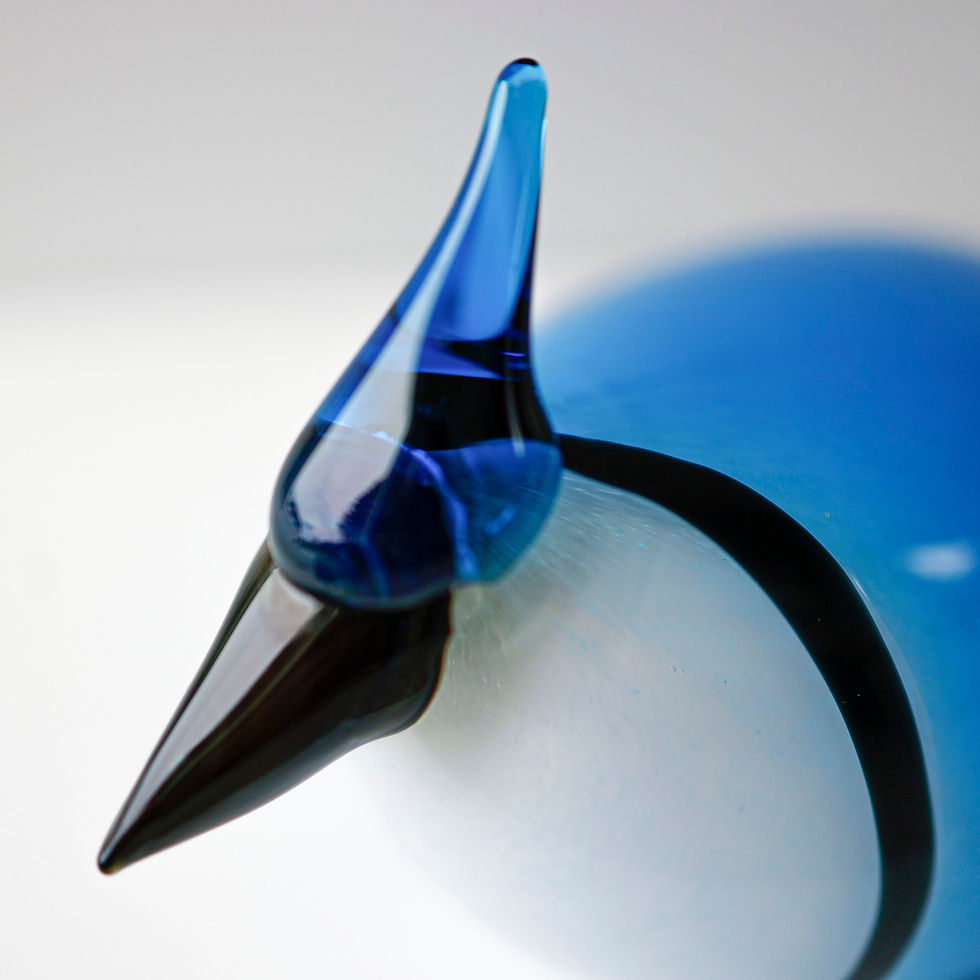 サムネイル： Canadian BlueJay オイバトイッカ　イッタラバード
