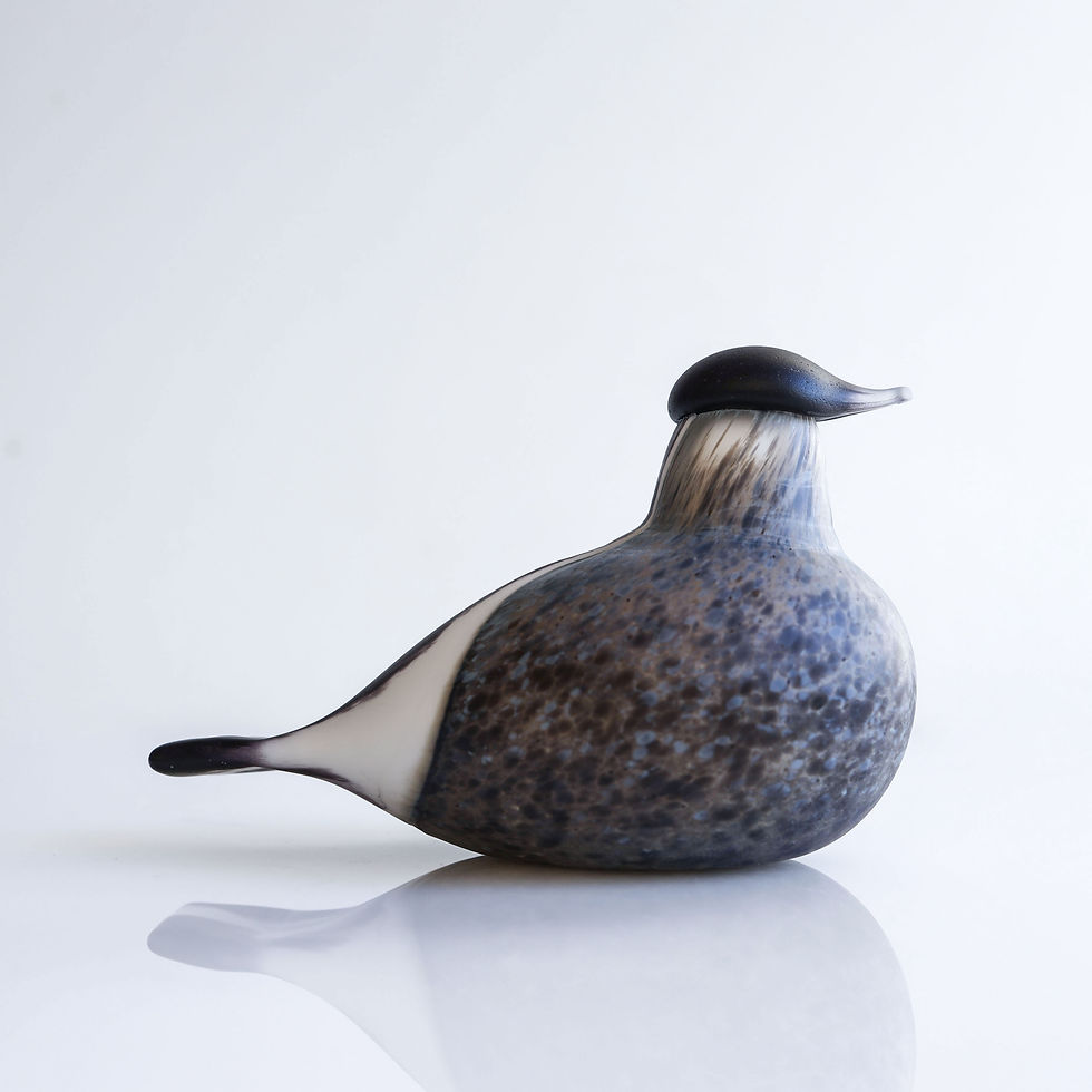 サムネイル： ブラック Bullfinch oiva toikka イッタラ  バード