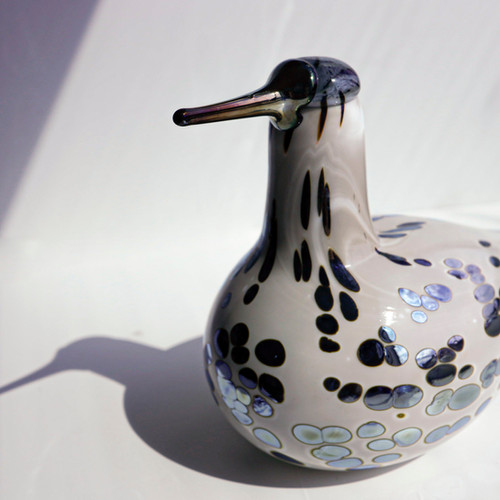 Spotted sand piper オイバトイッカ イッタラ バード